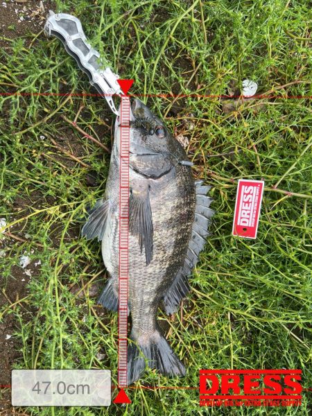 雨でも釣行！！