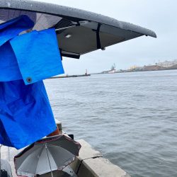 雨の中のサビキ釣り