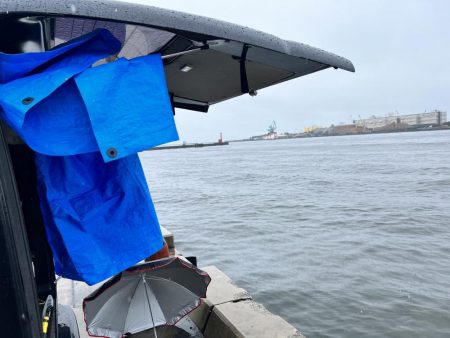 雨の中のサビキ釣り