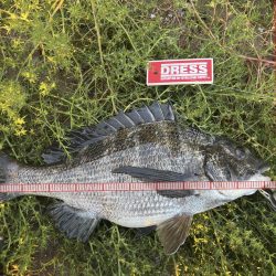 ３連休最終日の午前の部！！