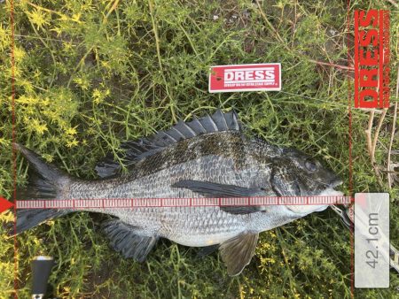 ３連休最終日の午前の部！！