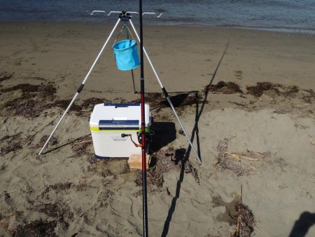 猛暑のキス釣り　ミニチャリコに苦戦