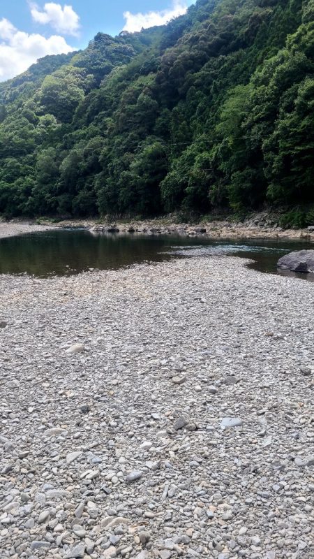 和歌山有田川でテナガエビ