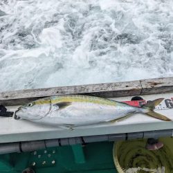 初落とし込み釣り