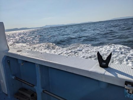 アコウいっぱい