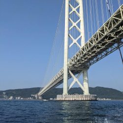 灼熱のタコ釣り