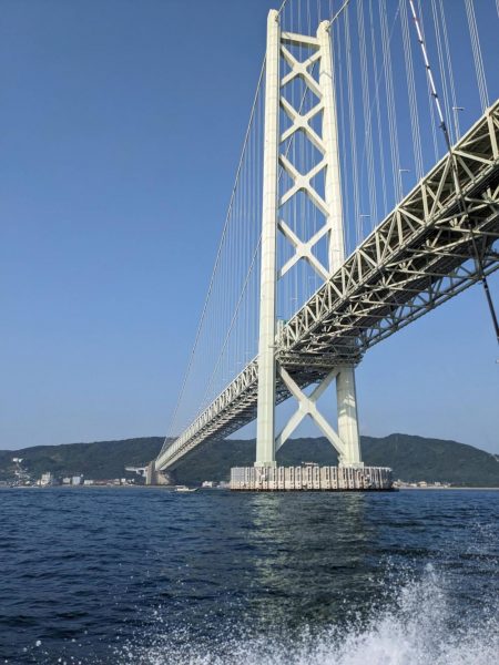 灼熱のタコ釣り