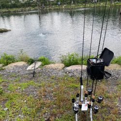 エリアトーナメント高島の泉