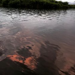 うぇーでぃんぐ