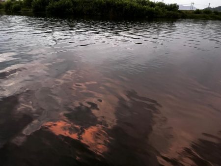 うぇーでぃんぐ