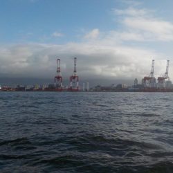 タコ釣り第3戦〜パイレーツダイユウ丸〜