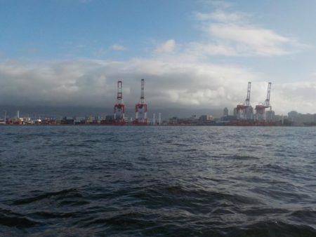 タコ釣り第3戦〜パイレーツダイユウ丸〜