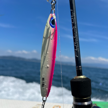 鬼アジ/サビキ&タチウオ/ジギング