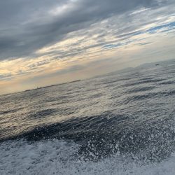 人生初のタコ釣ったのに…