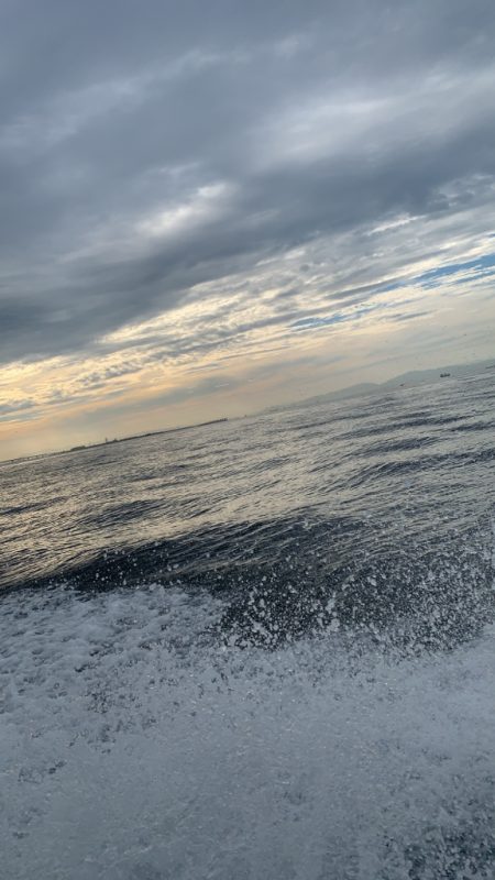 人生初のタコ釣ったのに…