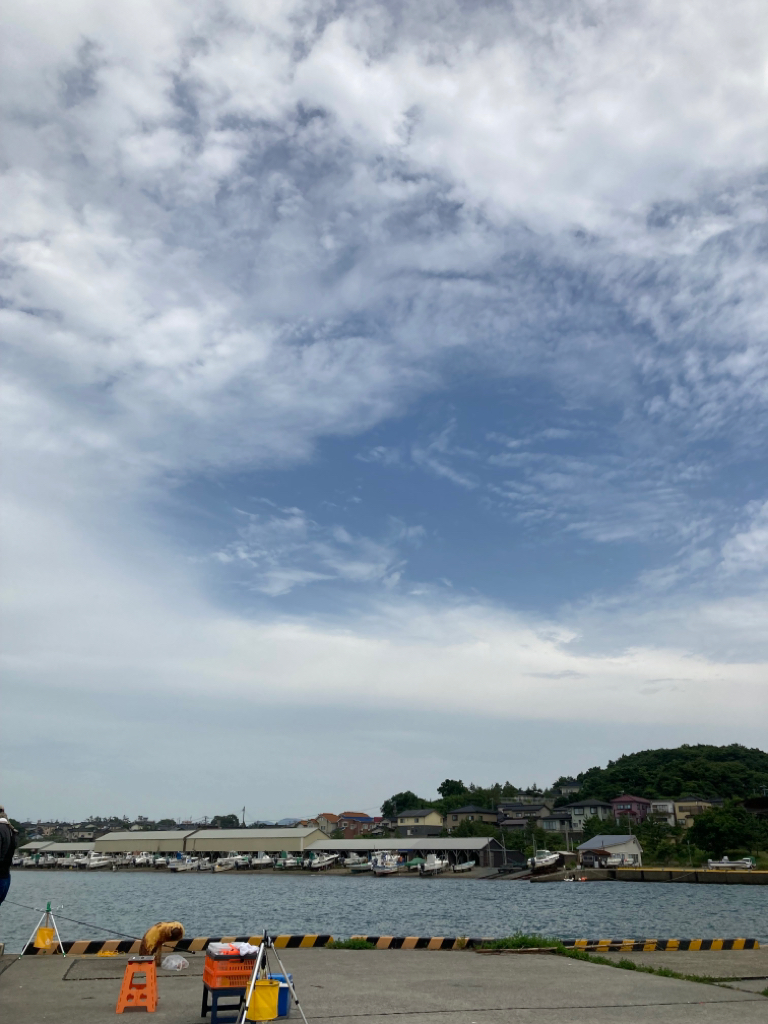 豆アジが釣れ出した!