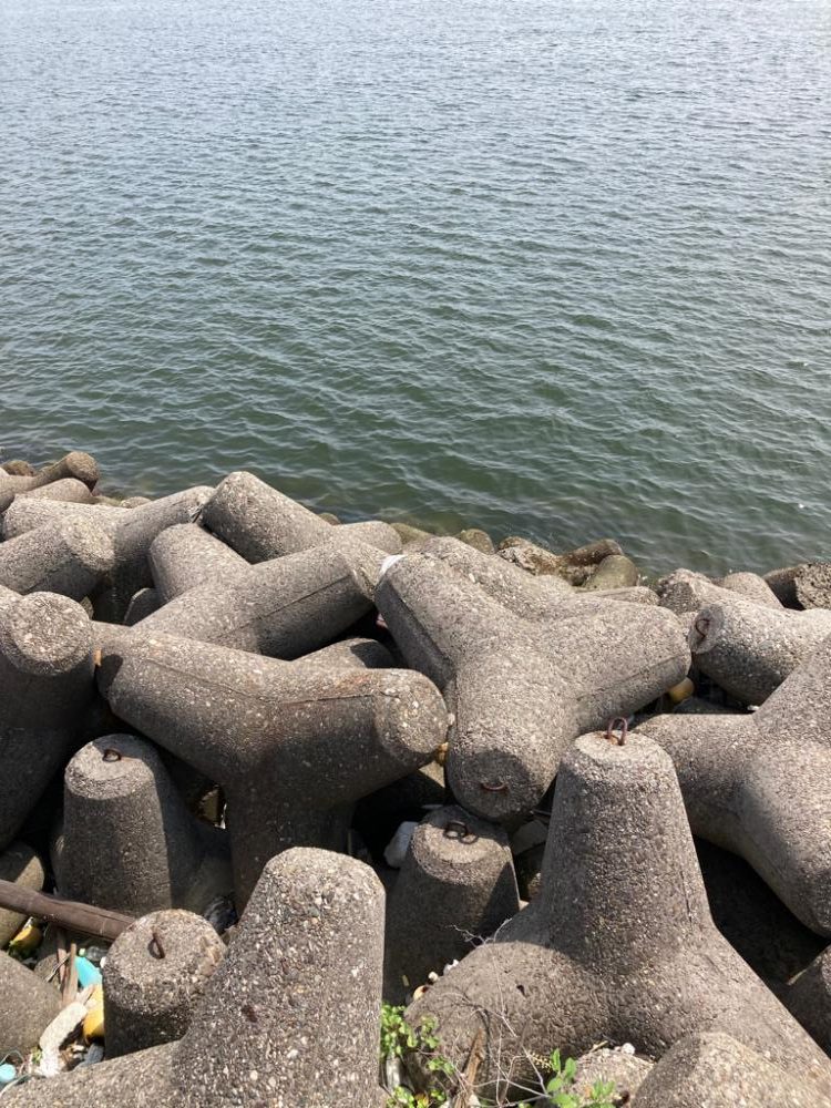 ⭐︎釣果以上の収穫