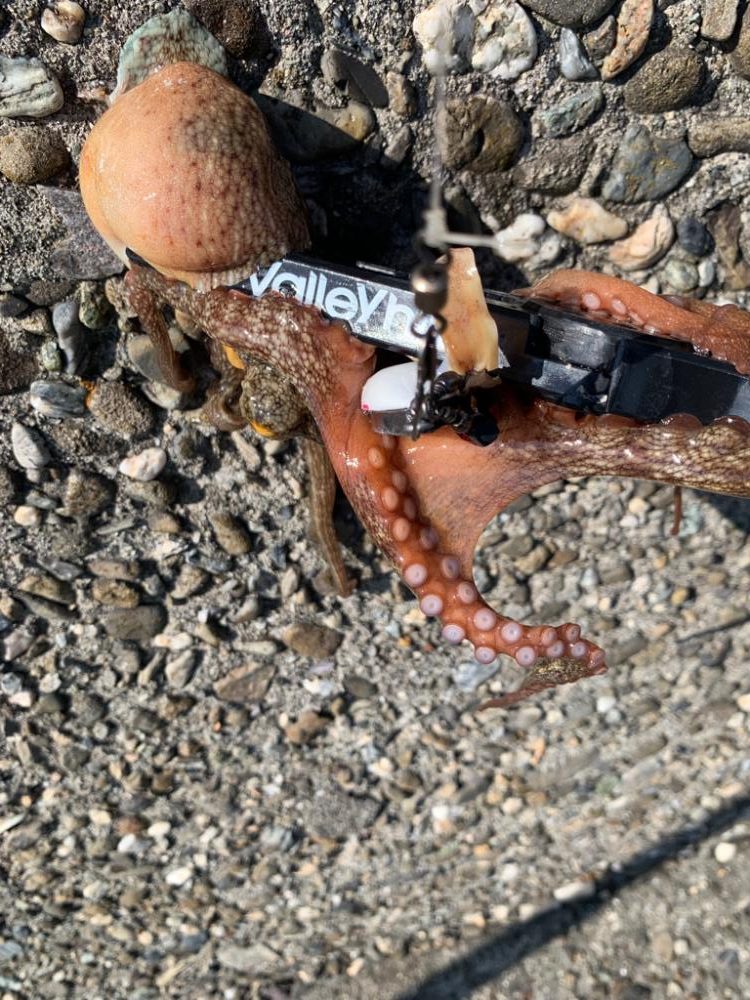 激渋の中、何とか!