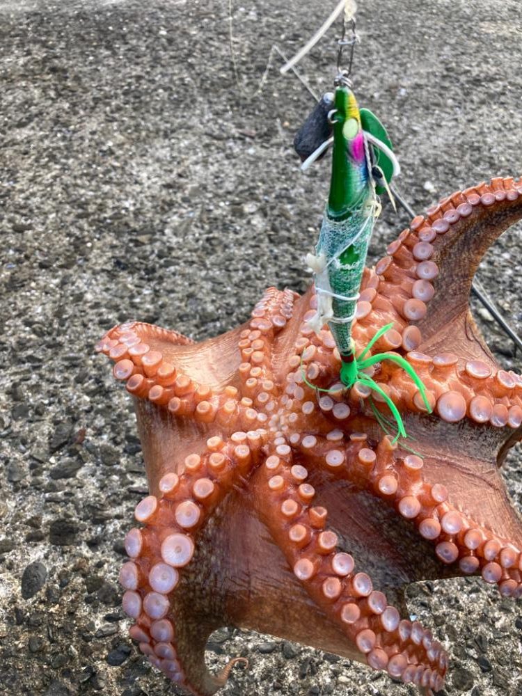 ⭐︎初のキロアップ