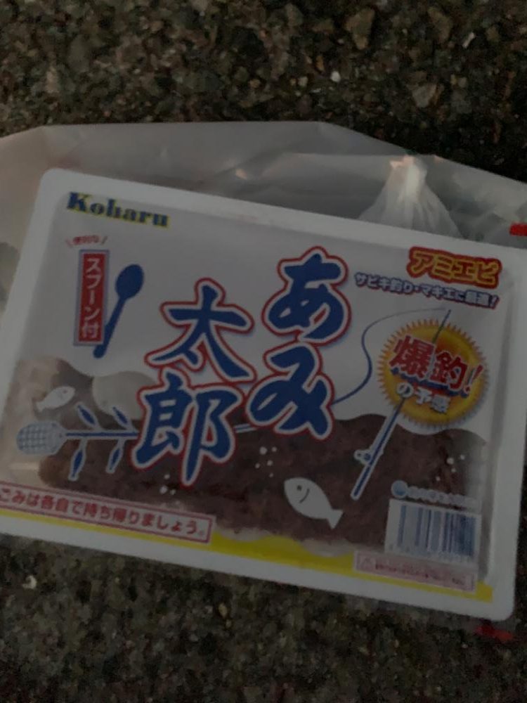 1年ぶりのサビキ