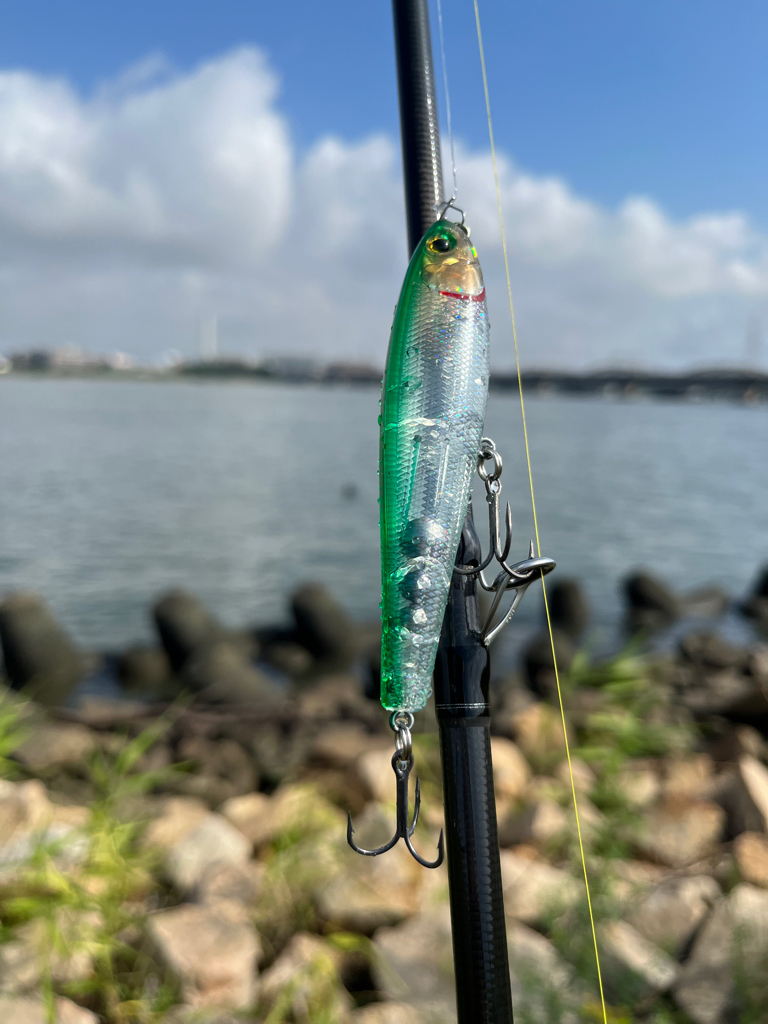 トップで釣れた?