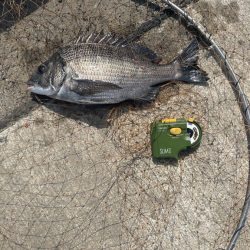 波止の足元フカセ