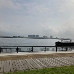 サビキでアジ釣り