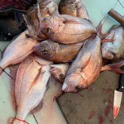 人生初の高仕掛けでの鯛釣り