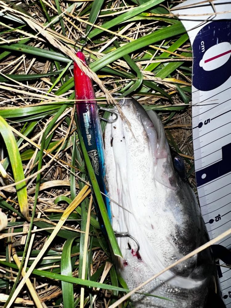 ブローウィン125Fの当たり日