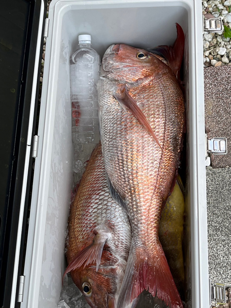 真鯛記録更新 初の70!