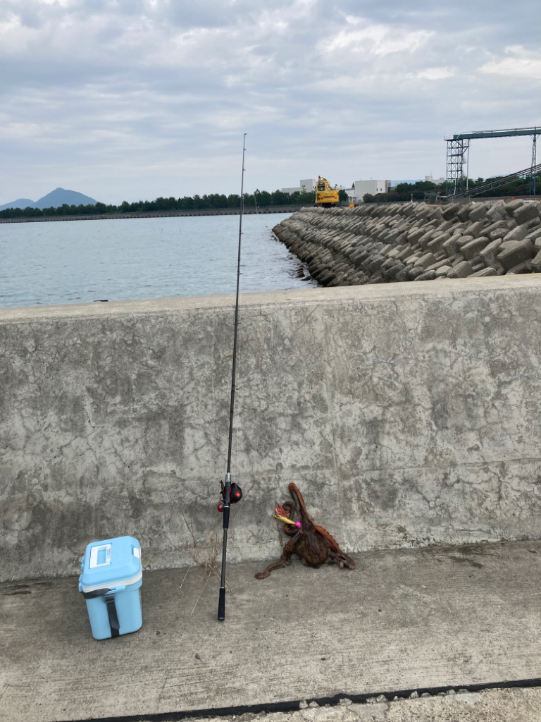 帰って来たタコ！