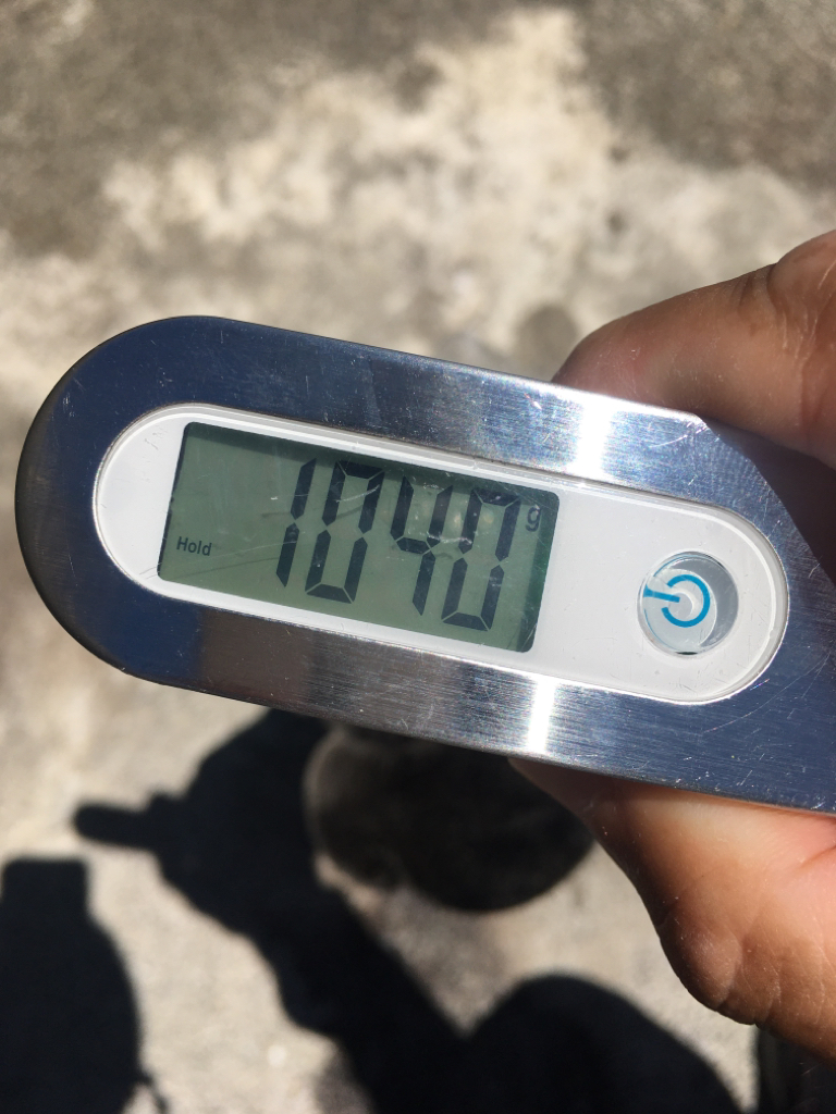 【タコフィネス】 キロアップ含む4900kg@8杯