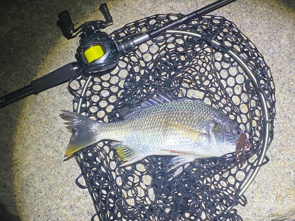 チニングは夜が涼しくて良い