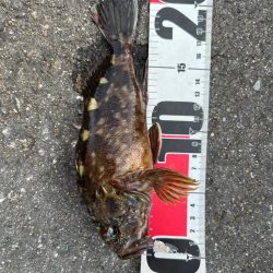 四日市ファミリーフィッシング