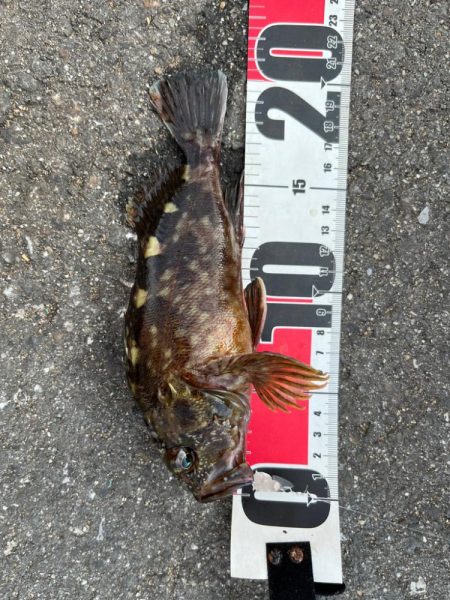 四日市ファミリーフィッシング