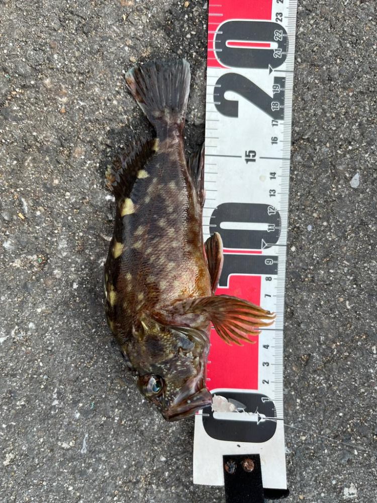 四日市ファミリーフィッシング