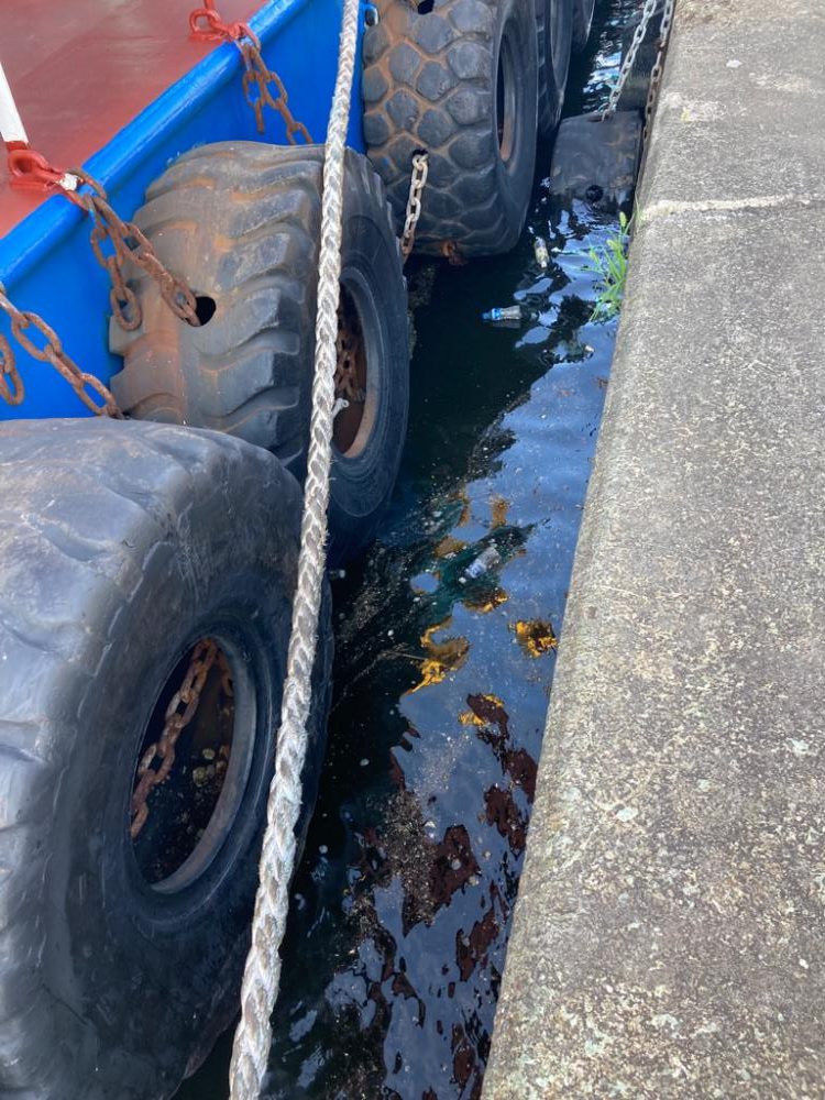 ⭐︎岸ジギリベンジ