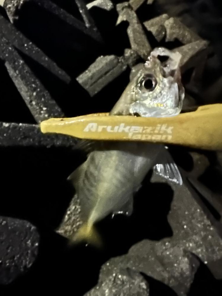 フロートゲーム