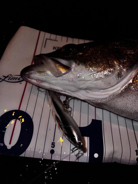 シンペンを縦に流すと。