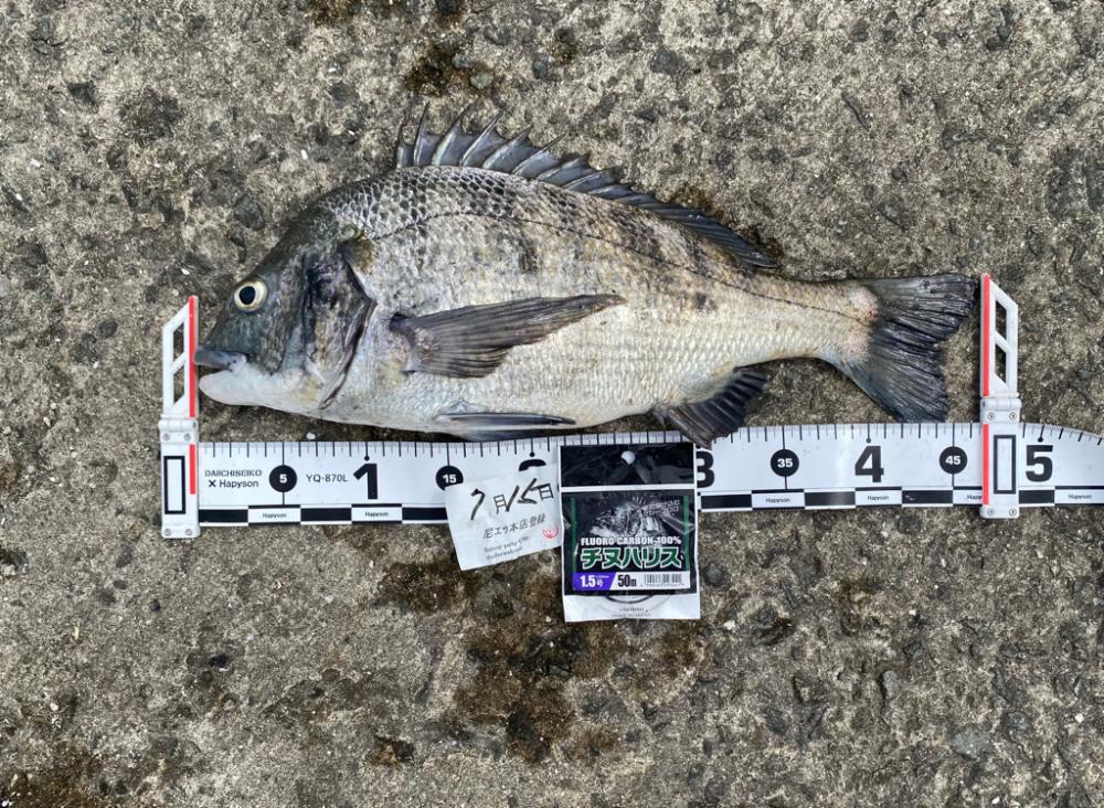 少し風が強い日