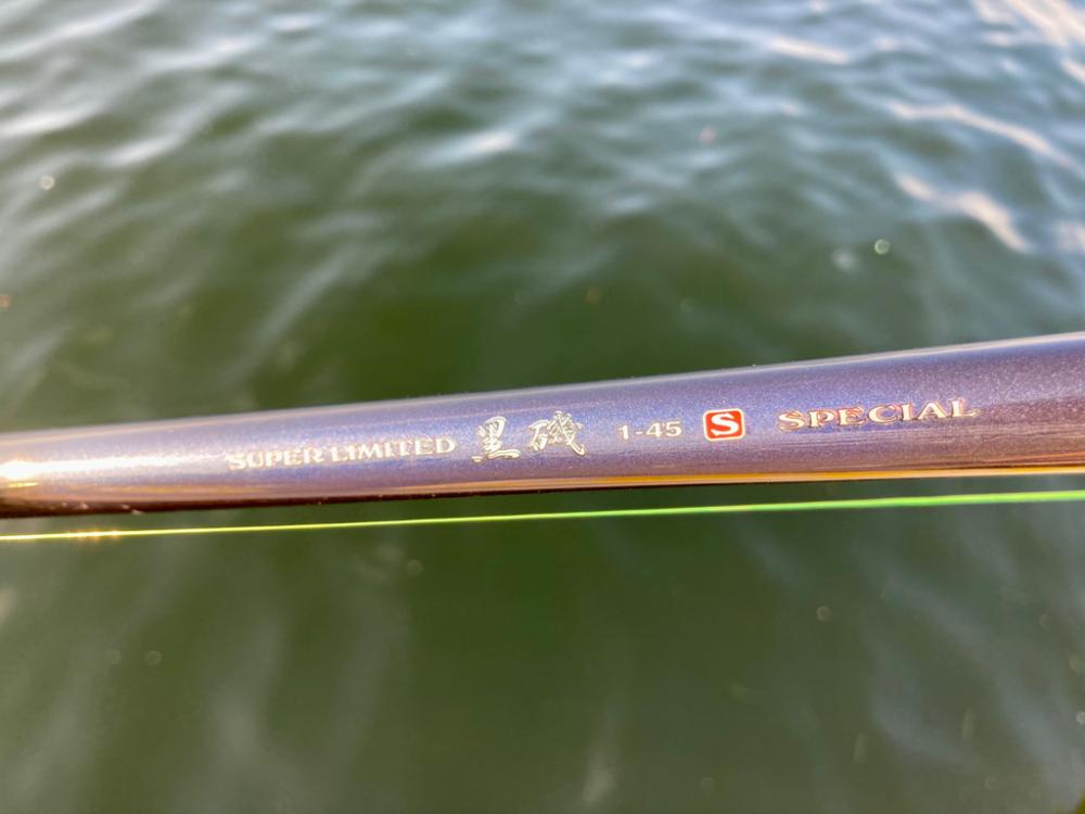 セイゴやチヌ乱舞