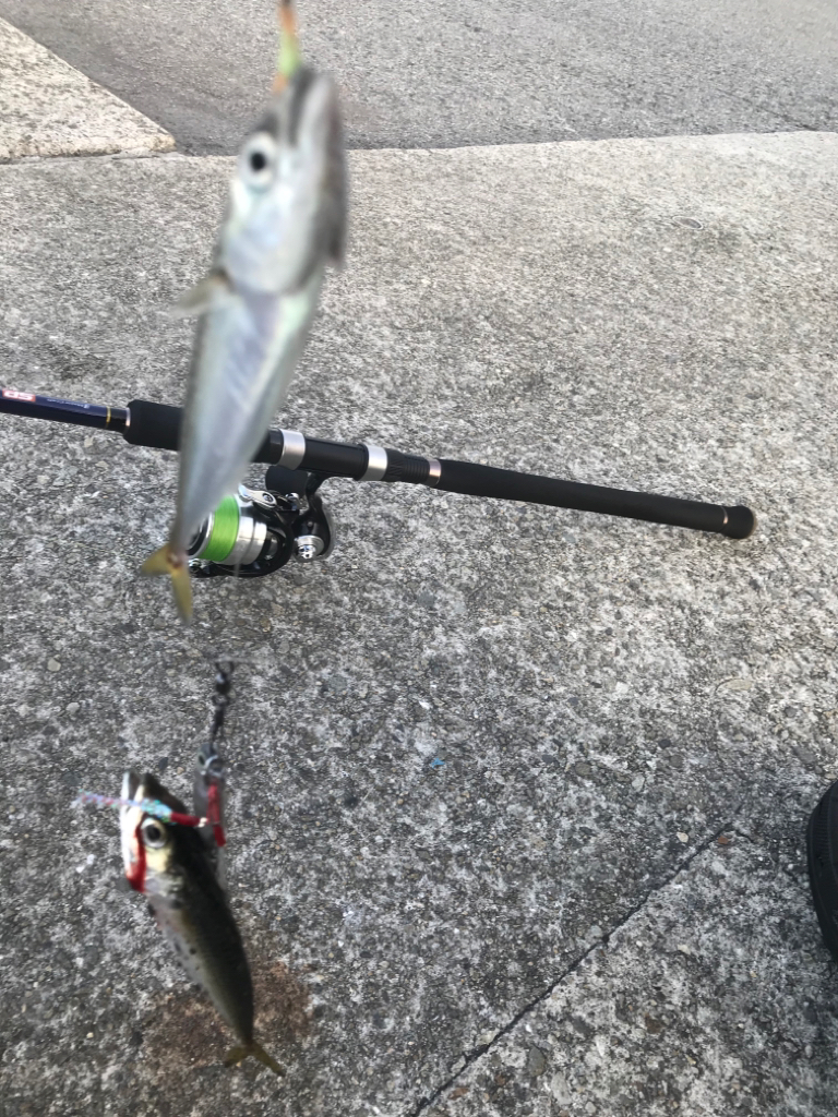 ジグサビキ 4