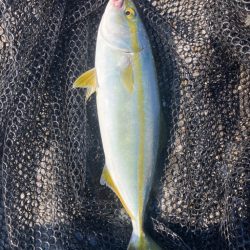 2023ライトゲーム第27戦