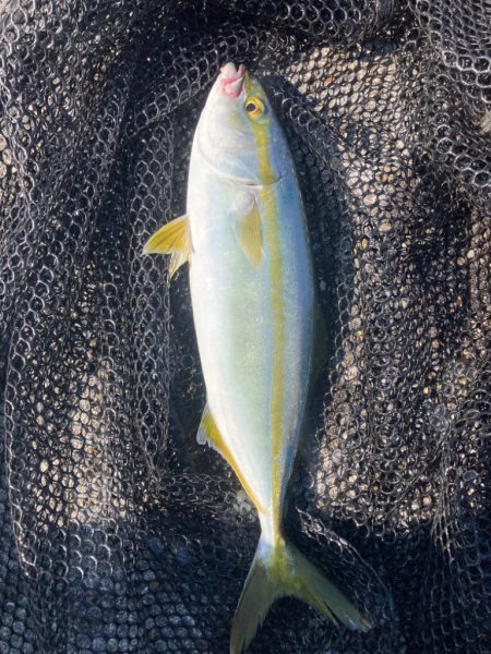 2023ライトゲーム第27戦