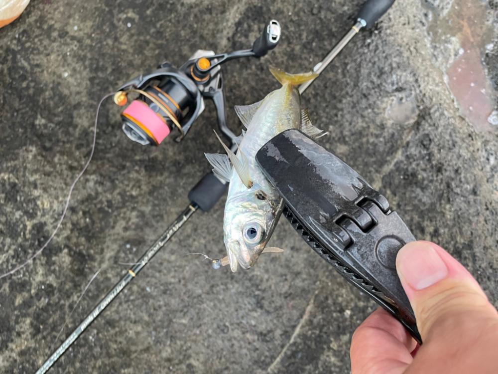 2023 佐渡ヶ島 ライトゲーム 7月17日