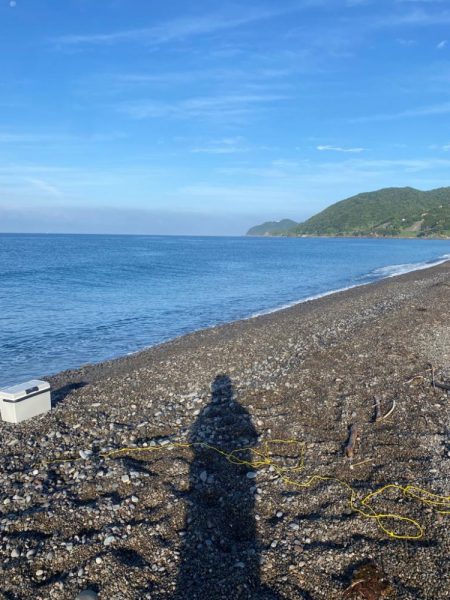 ソウダカツオとツバス