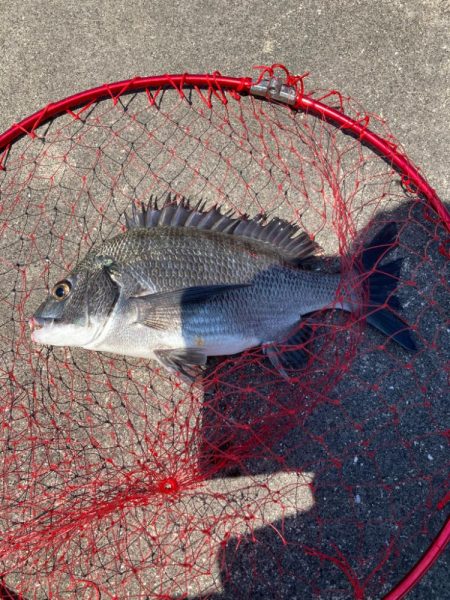 ギリギリ尺足らず