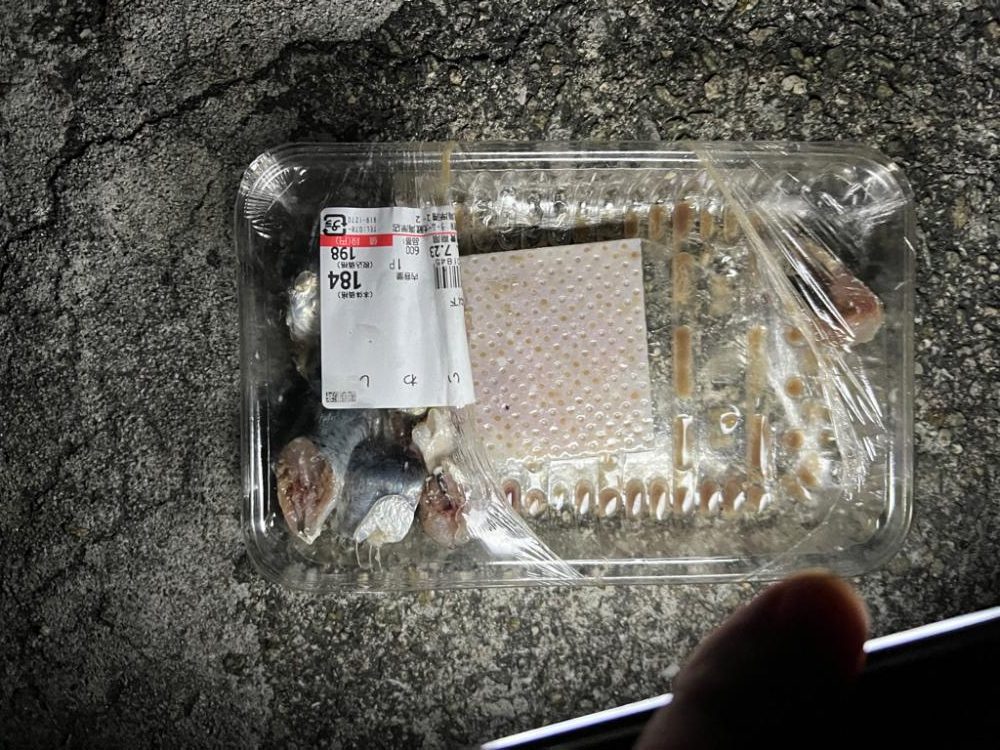 大サバリベンジ