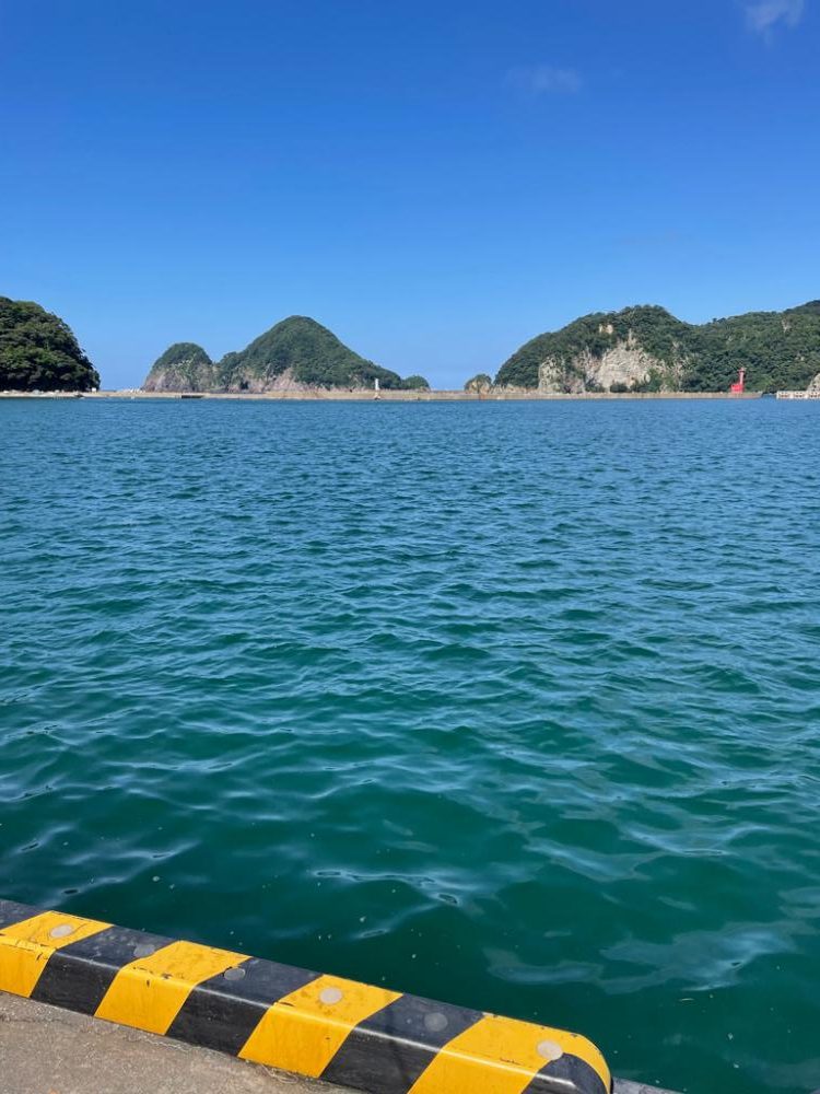 キス釣り入れ食い