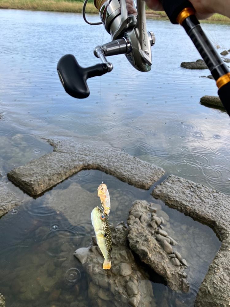 トップチニング